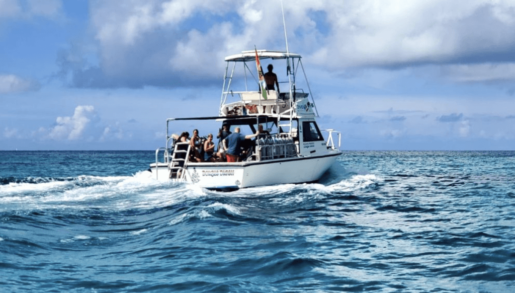 Cabo Fishing Charters with All-Inclusive Packages