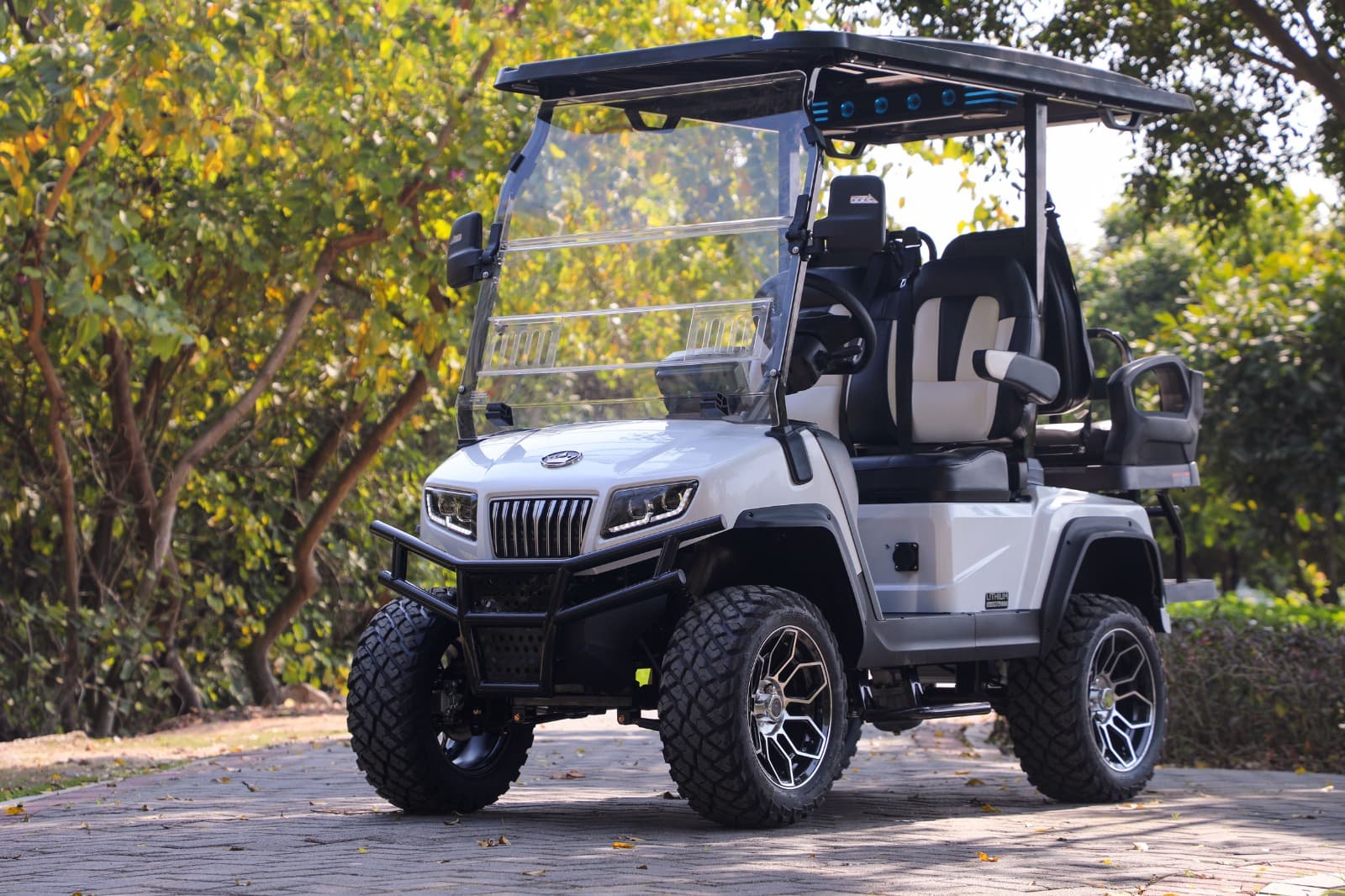 Premium Selection of Golf Carts for Sale Fresno: Find Your Perfect Ride