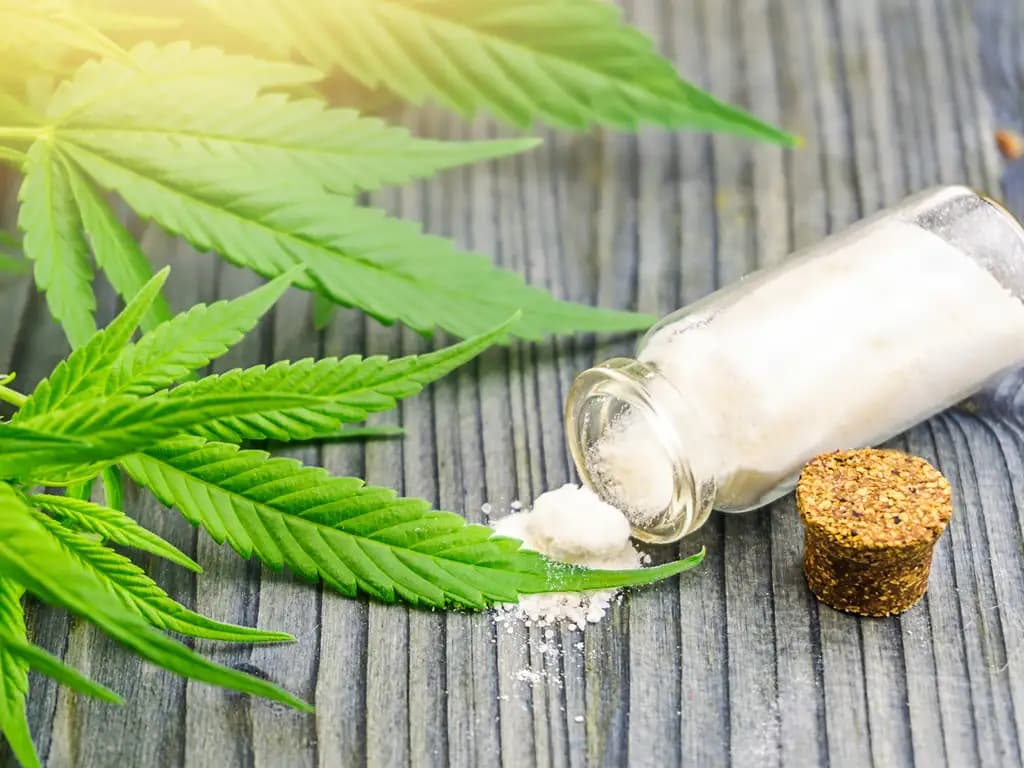 Rave Store Miami – Shop Miami Rave’s Signature THC and CBD Infused Cakes