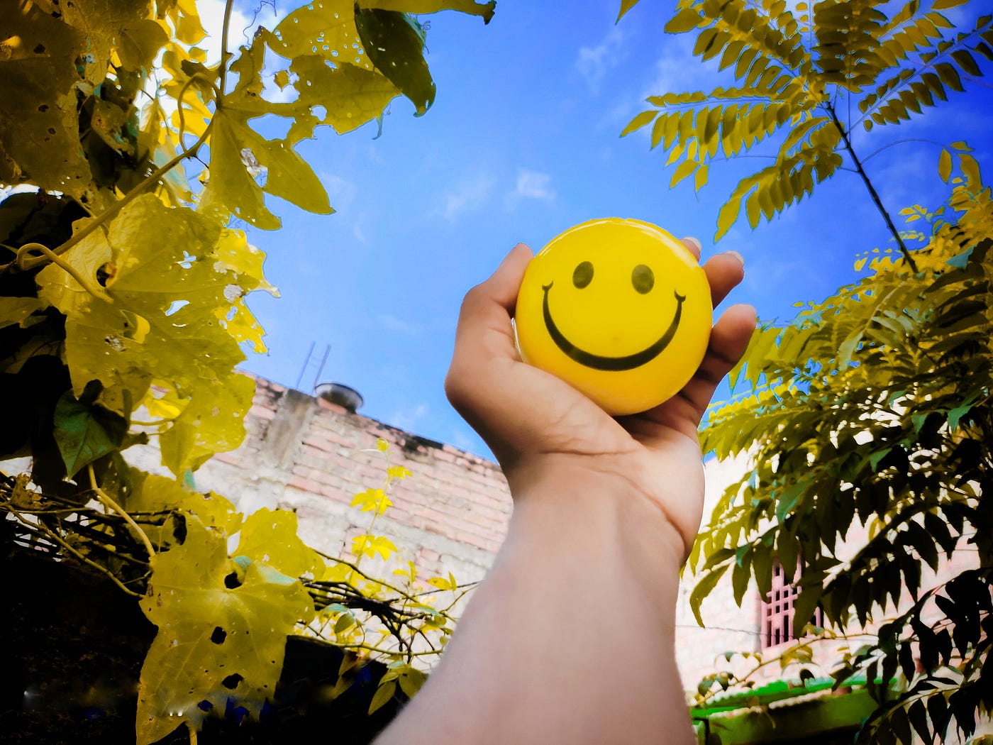 Let Go of Things, Embrace Moments: Quotes to Inspire a Happier Mindset