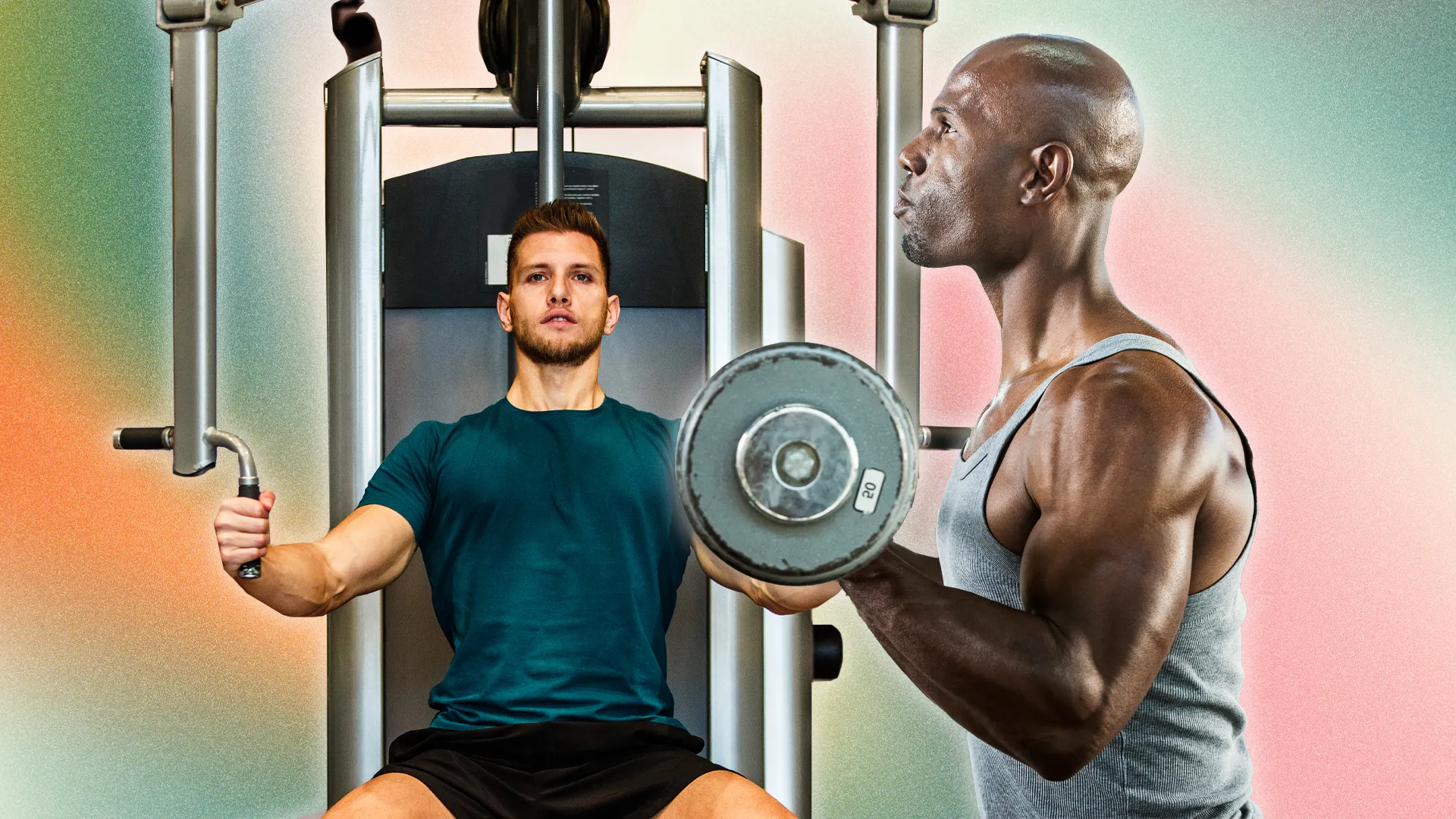 Bench for Home Gym – Compact & Reliable Fitness Bench | YINUO SPORT