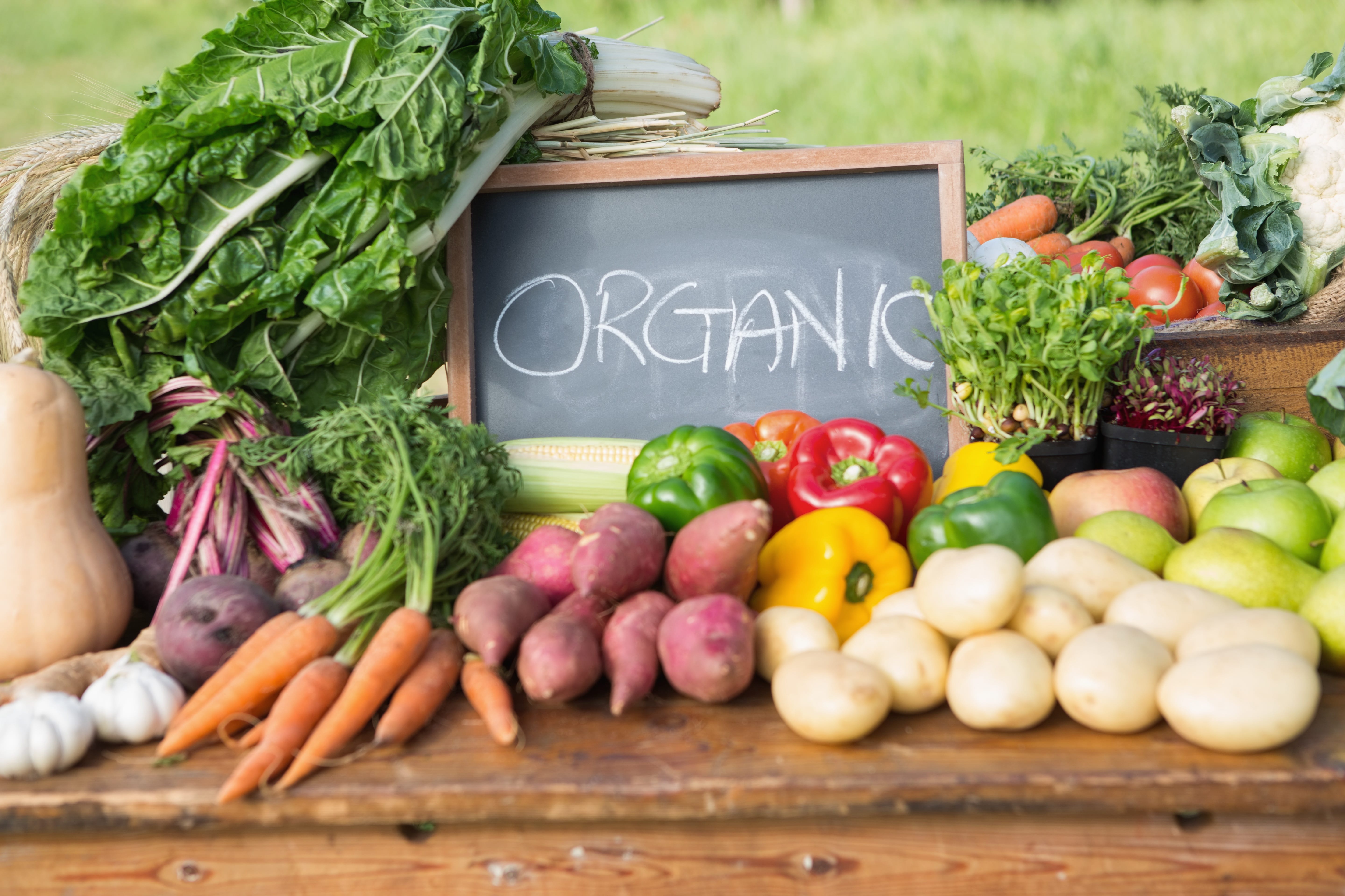 The Future of Food: Why Organic Choices Matter More Than Ever
