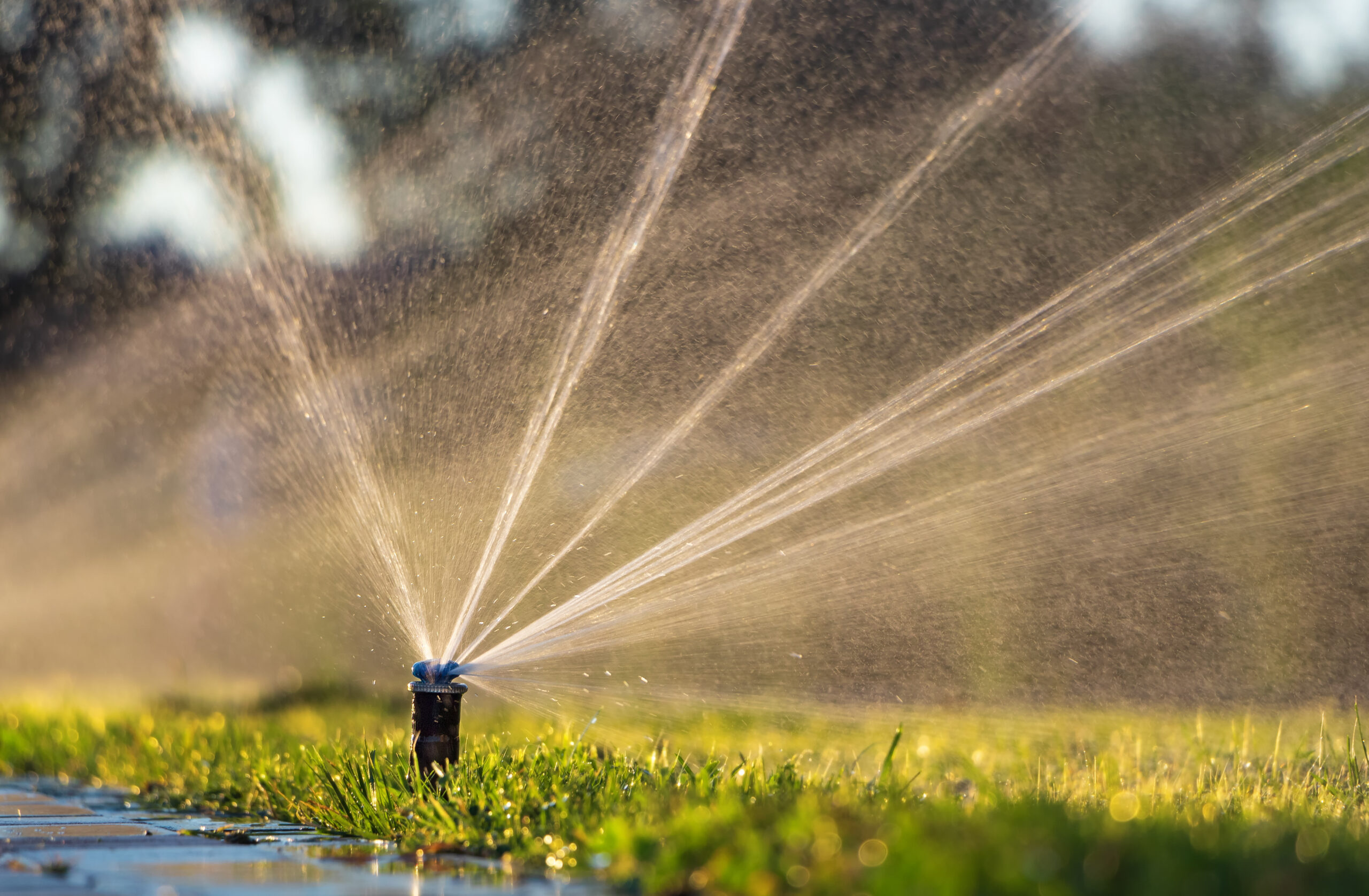 AFFORDABLE PROFESSIONAL IRRIGATION SERVICES IN AZLE, TX