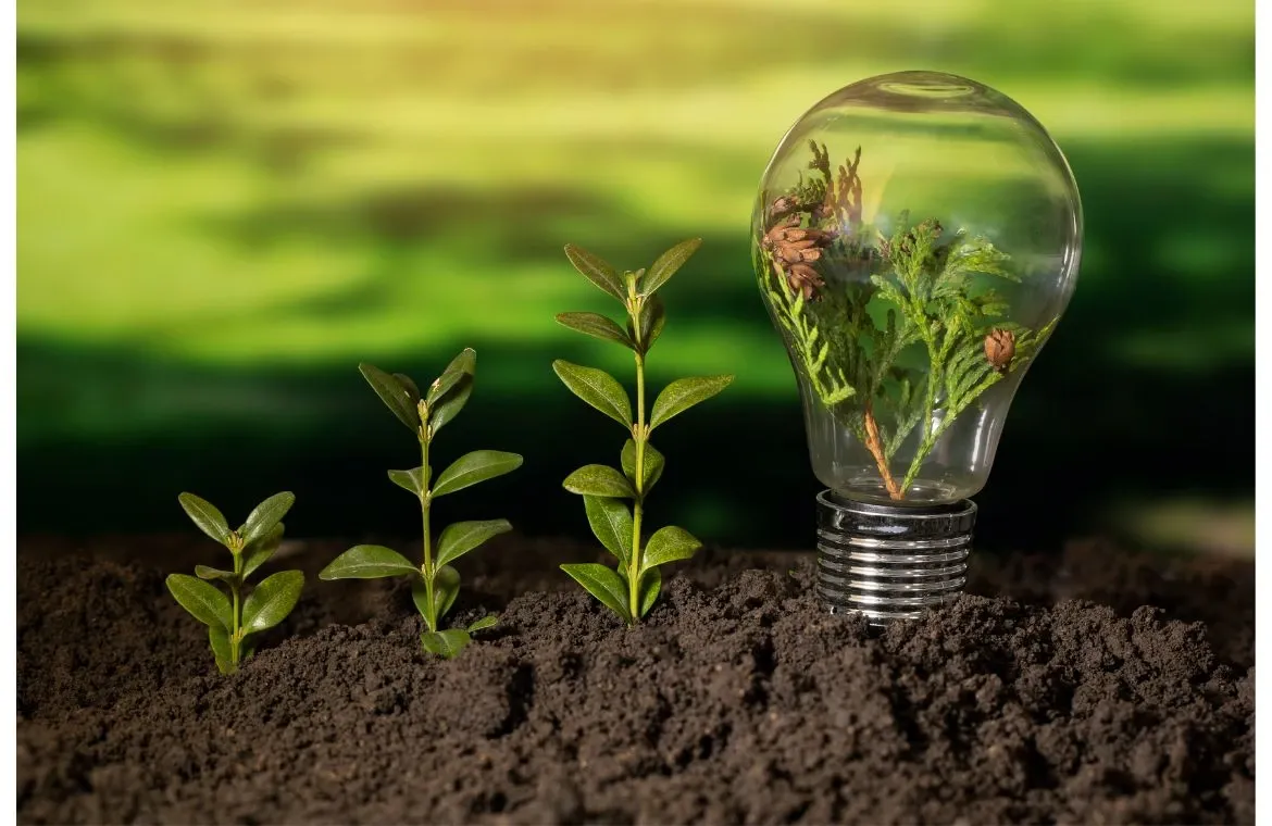 Green Cooling – Experts in Energy-Efficient Refrigeration