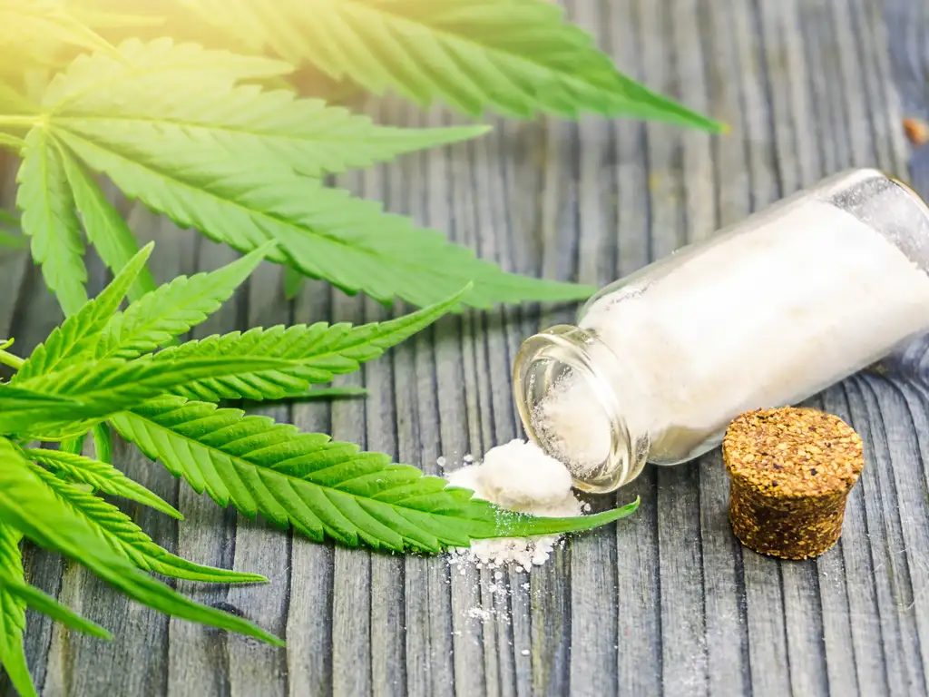 Rave Store Miami – Shop Miami Rave’s Signature THC and CBD Infused Cakes