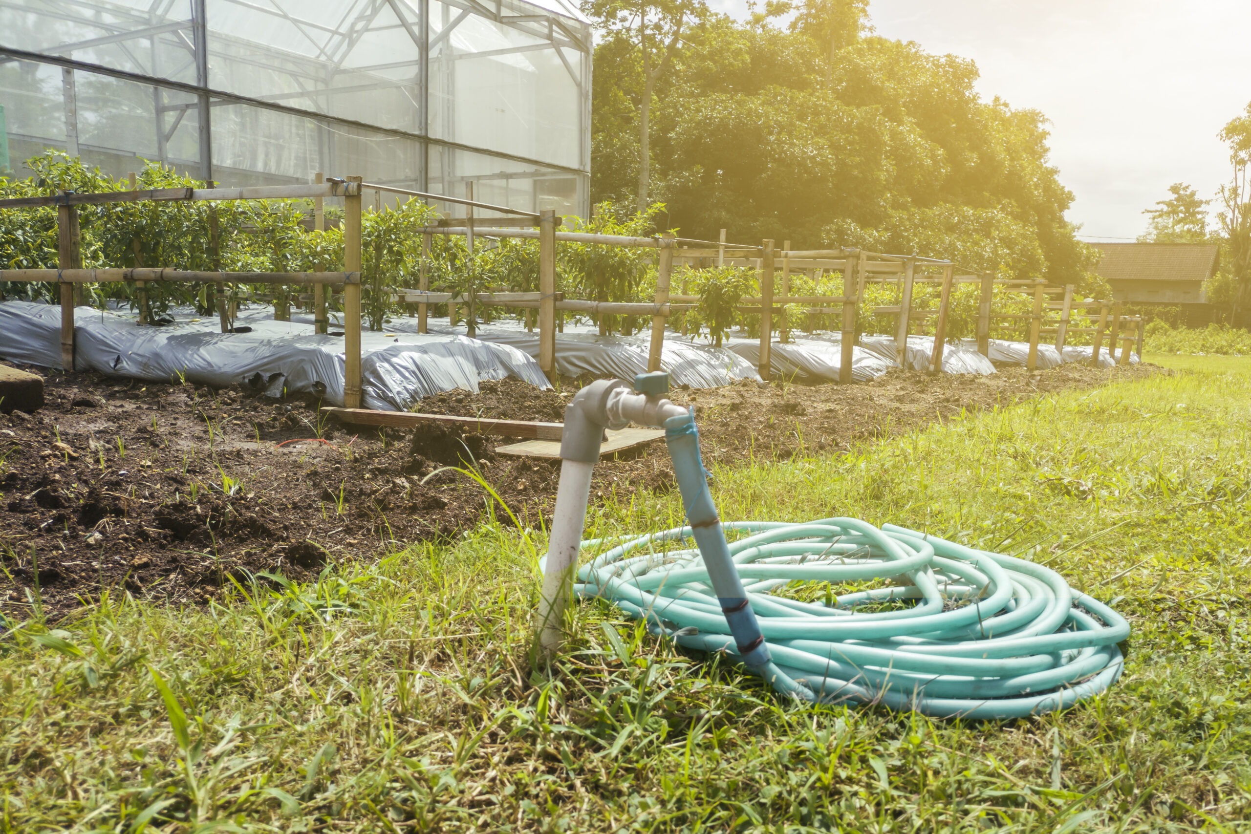Professional Irrigation Services in Benbrook, TX for Healthy Landscapes
