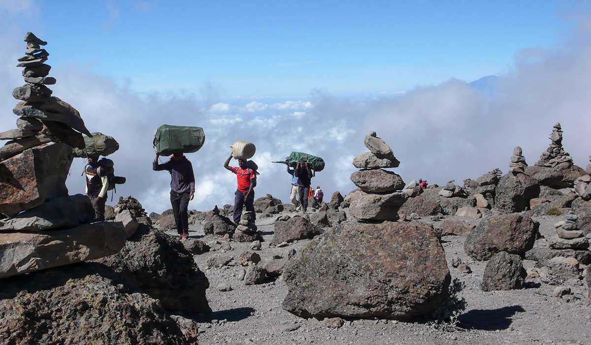 Climb Kilimanjaro with a Fully Licensed Tanzanian Tour Operator
