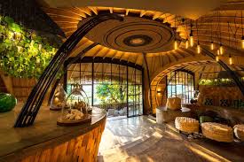Elite Luxury African Safaris Across Savannahs, Deserts & Beaches