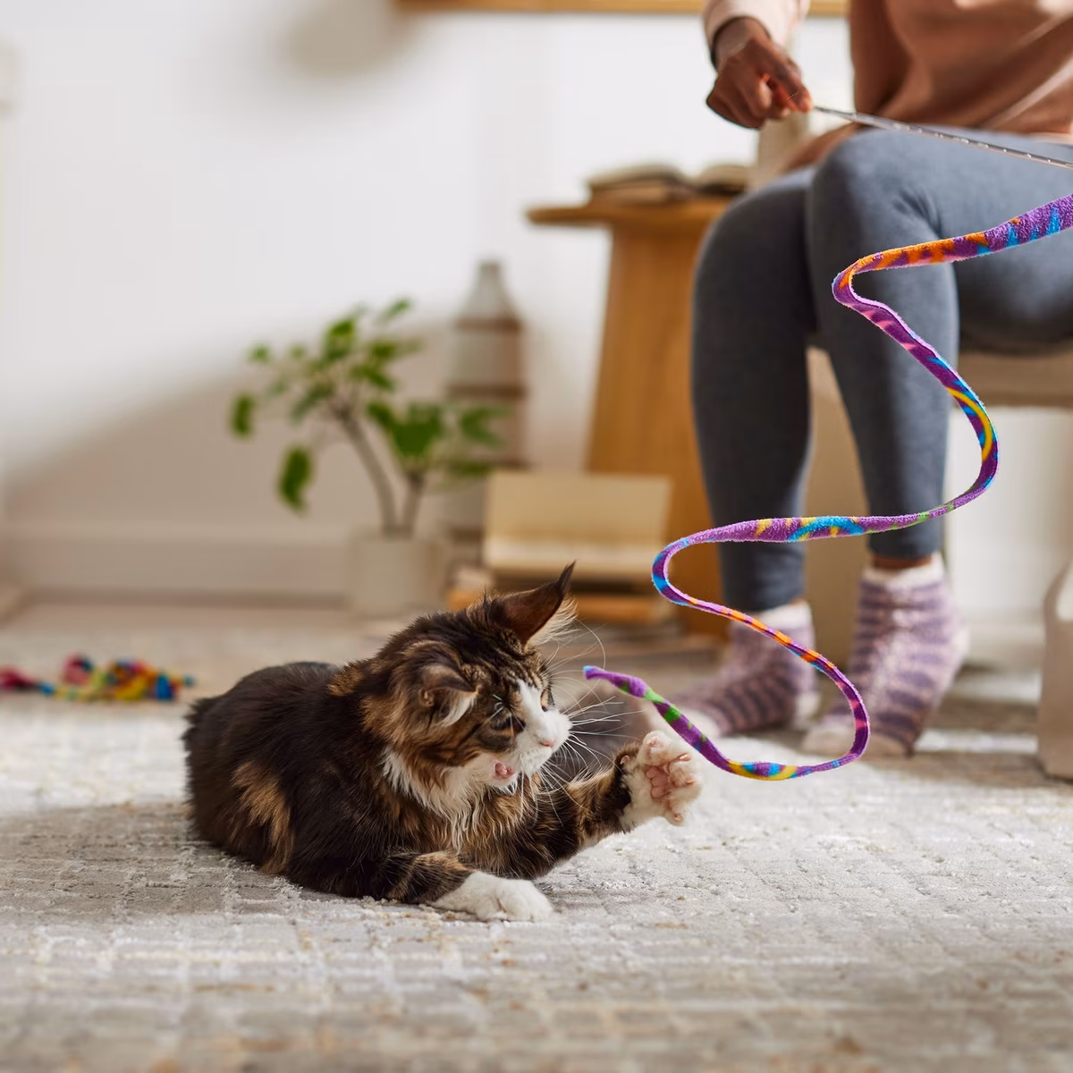 Interactive Cat Toys Australia Catshoponline – Boost Your Cat’s Energy and Curiosity