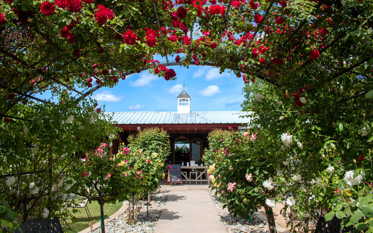 Clarksburg: A Peaceful Retreat Surrounded by Natural Beauty