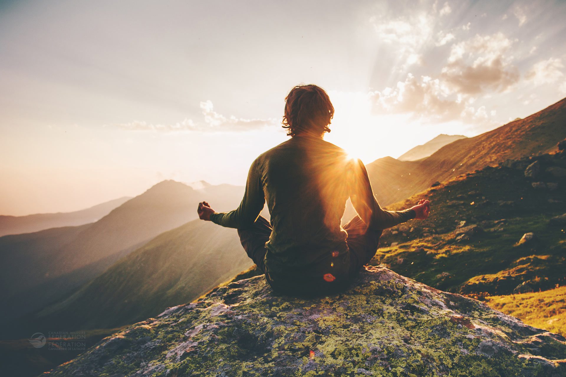 Enhancing Wellness and Happiness: Strategies from https://sourcesofhappiness.com/