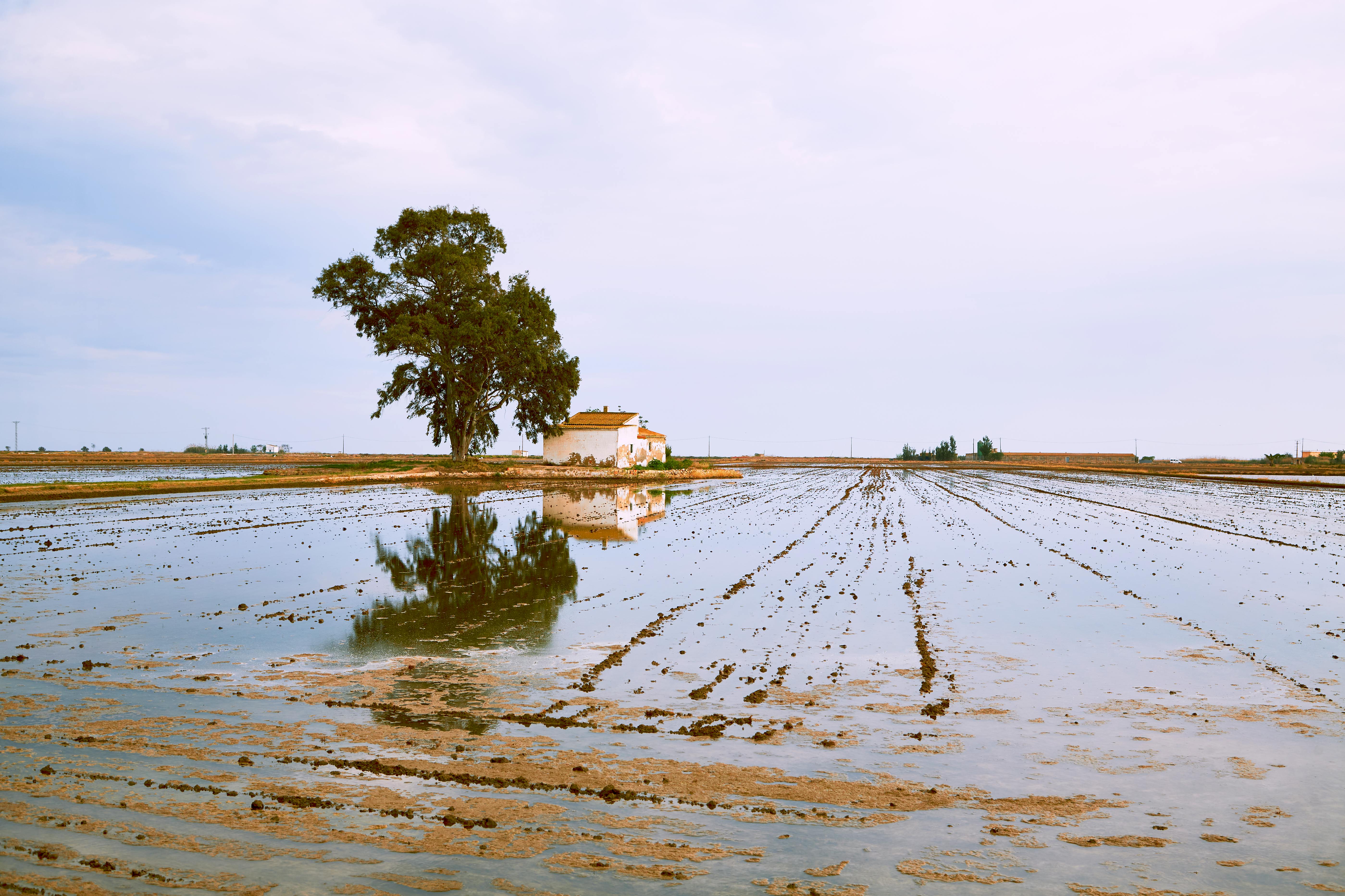 Professional Irrigation Services in Willow Park, TX for System Upgrades