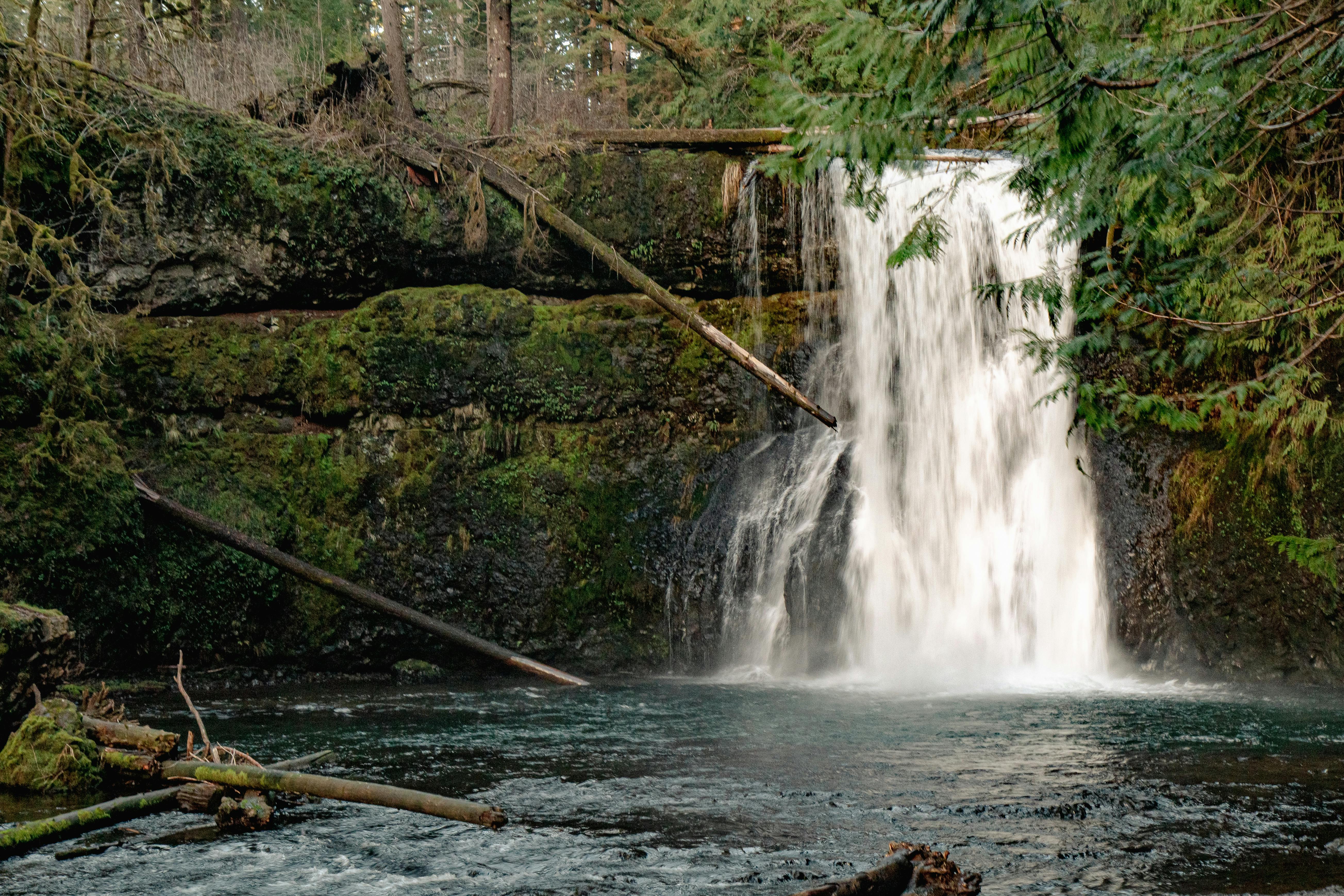 Experience Comfort and Convenience at Lodge Multnomah Falls Oregon