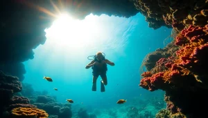 Experience underwater wonders with vibrant marine life at https://marvinscubaexpeditions.com while diving in Belize.