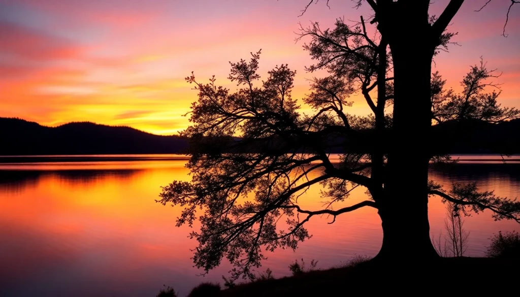 Experience tranquility by the lake at https://albmaftoh.com with a beautiful sunset view.