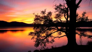 Experience tranquility by the lake at https://albmaftoh.com with a beautiful sunset view.