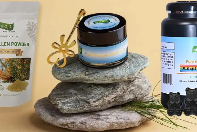 Buy Pure Shilajit Resin Online | Premium Ayurvedic Resin