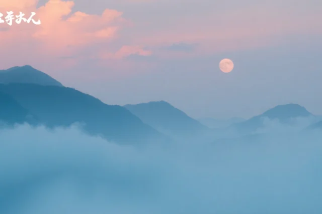 tg账号购买：在线获取您所需账号的最佳选择