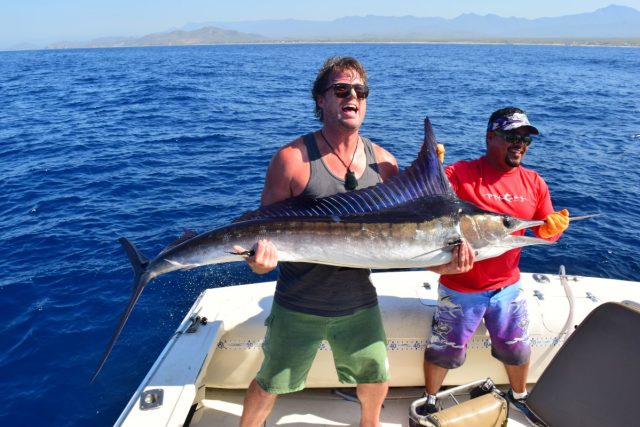 Best Time to Visit Cabo – Seasonal Travel Insights from Cabo Verified