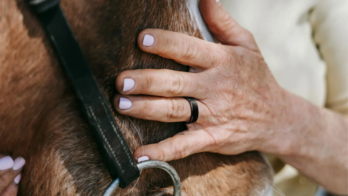 Maximize Your Health Journey with Ringconn: A Comprehensive Guide