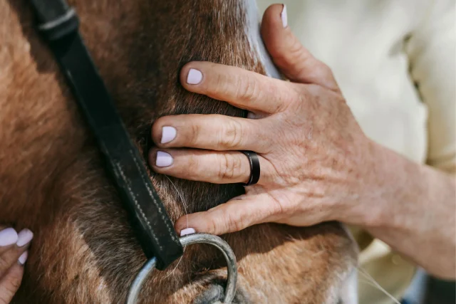 Maximize Your Health Journey with Ringconn: A Comprehensive Guide