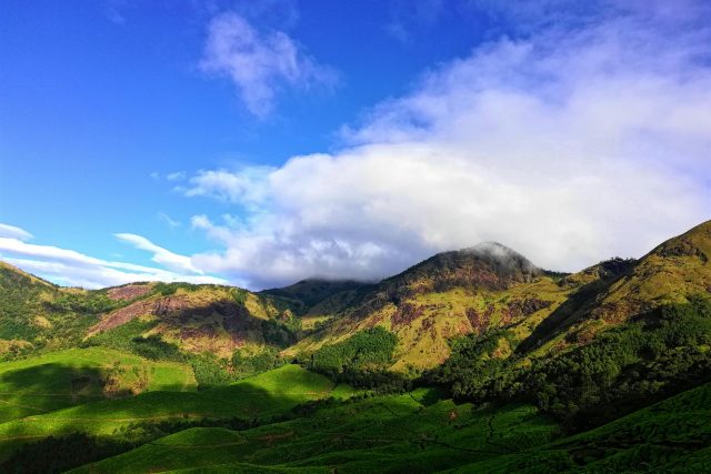 Cool Trails for Exploring Stunning Landscapes and Rare Birds