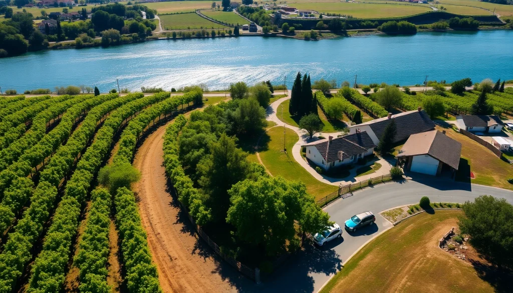 Scenic landscape of Clarksburg, CA, featuring vineyards and rivers under bright sunshine.